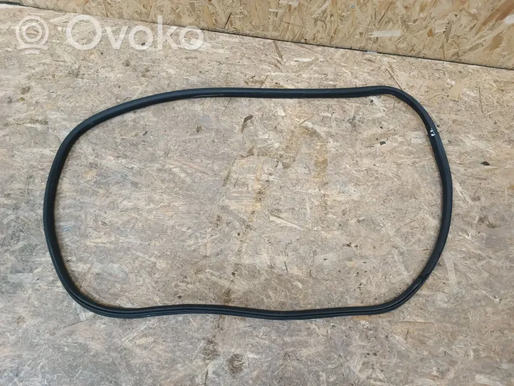 Citroen C4 II Front door rubber seal 