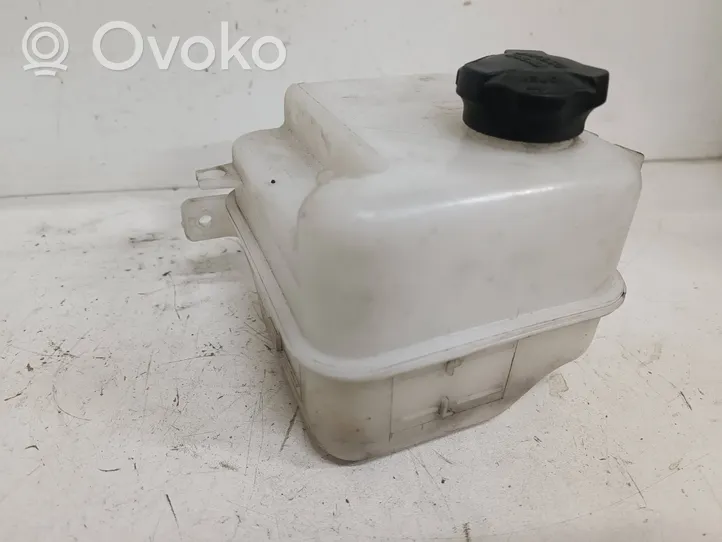 KIA Sportage Coolant expansion tank/reservoir 254302S000