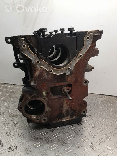 Seat Ibiza IV (6J,6P) Engine block 045103021R