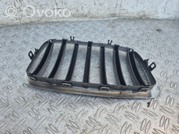 BMW X6 E71 Atrapa chłodnicy / Grill 7305591