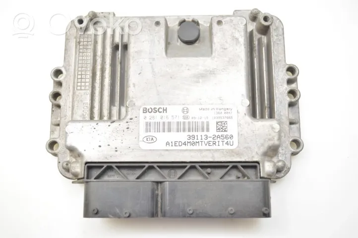 KIA Ceed Sterownik / Moduł ECU 391132A560