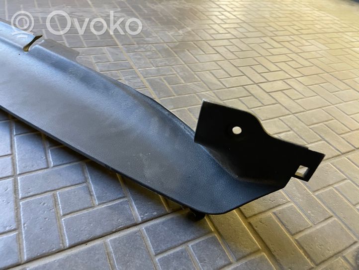 Seat Ibiza IV (6J,6P) Rear sill trim cover 6J3863488