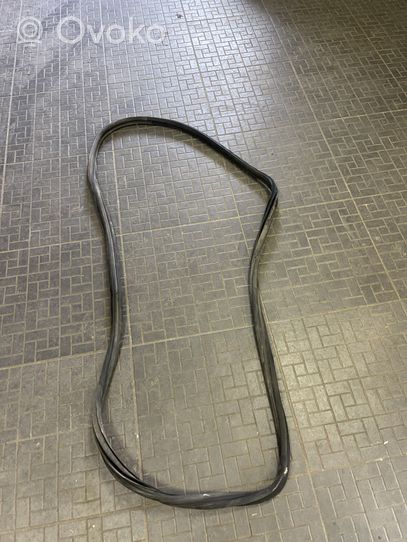 Opel Corsa D Front door rubber seal 13189011