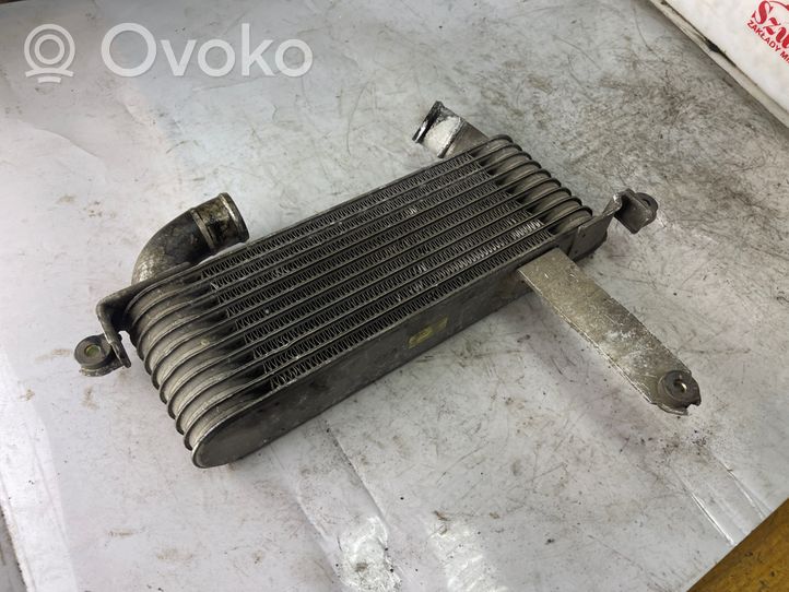 Hyundai Matrix Chłodnica powietrza doładowującego / Intercooler 2827027620