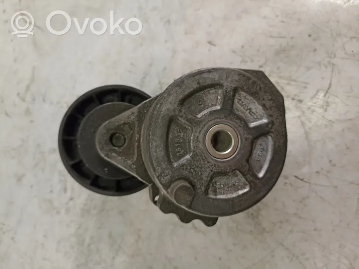 Peugeot 4007 Napinacz paska alternatora 16183P