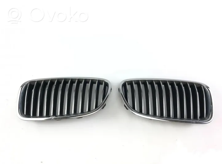 BMW 5 F10 F11 Front grill 51137203649