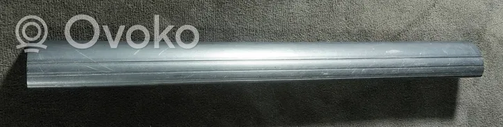 BMW 5 E39 Front sill trim cover 