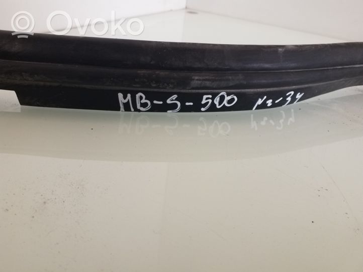 Mercedes-Benz S W220 Front door rubber seal 