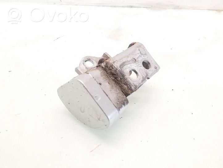 Renault Megane II Front door lower hinge 