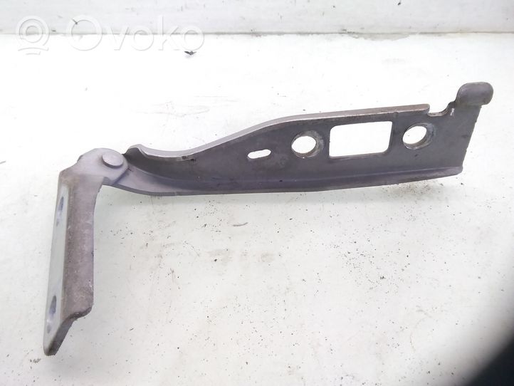 Ford Fiesta Engine bonnet/hood hinges 2S6116801