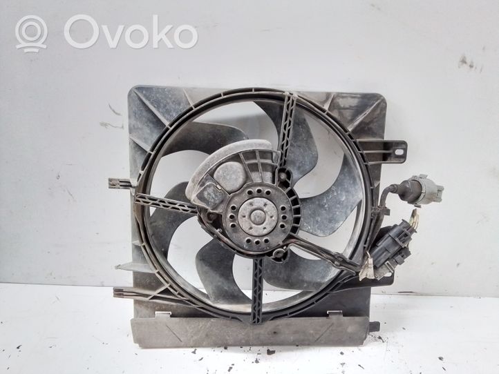 Peugeot 1007 Ventilatore di raffreddamento elettrico del radiatore 1831794100