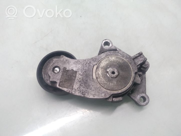 Ford Fusion Diržo įtempėjas 846143