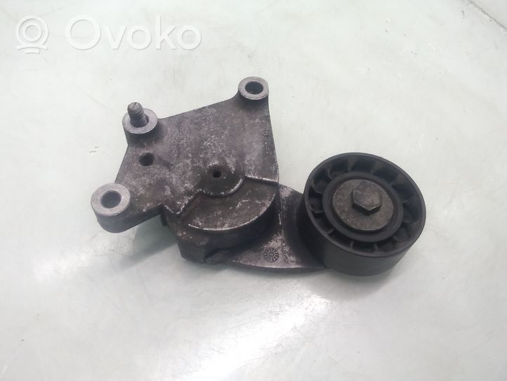 Ford Fusion Diržo įtempėjas 846143