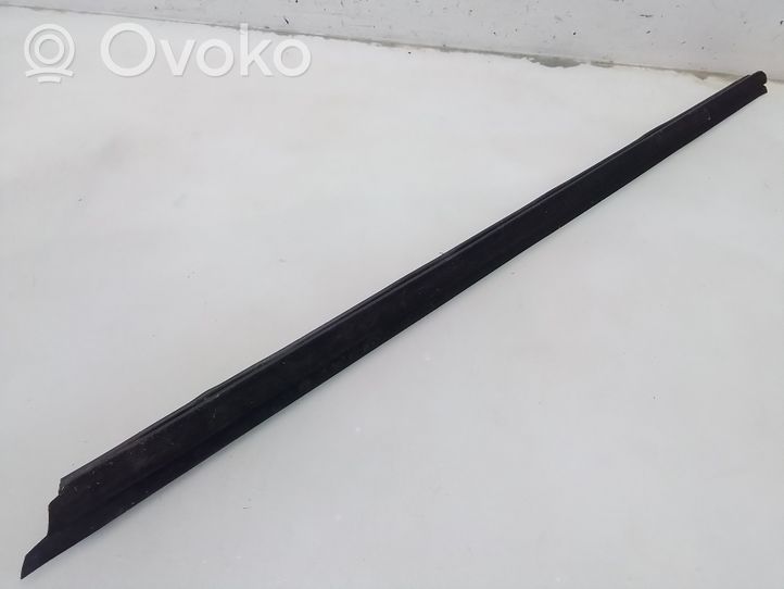 BMW 3 E46 Front door glass trim molding 