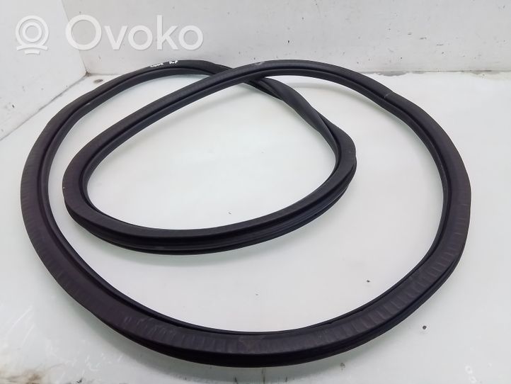 Peugeot 2008 II Front door rubber seal 