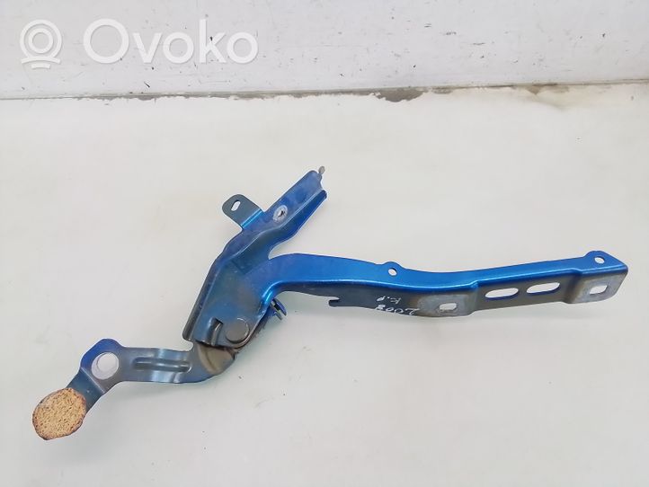 Peugeot 2008 II Cerniere del vano motore/cofano 9839901480