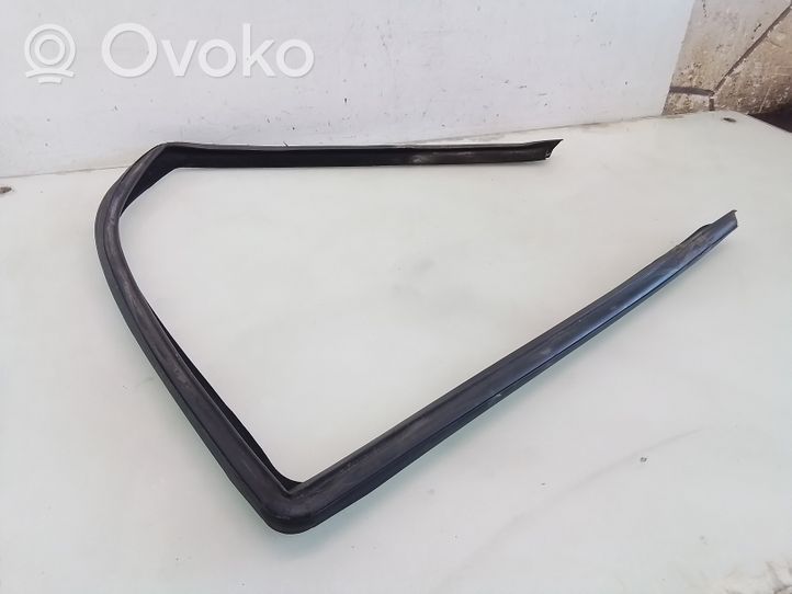 Mercedes-Benz S W220 Rubber seal rear door window/glass 