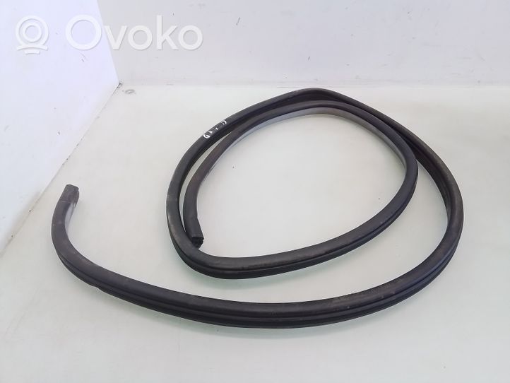 Chevrolet Aveo Rear door rubber seal (on body) 