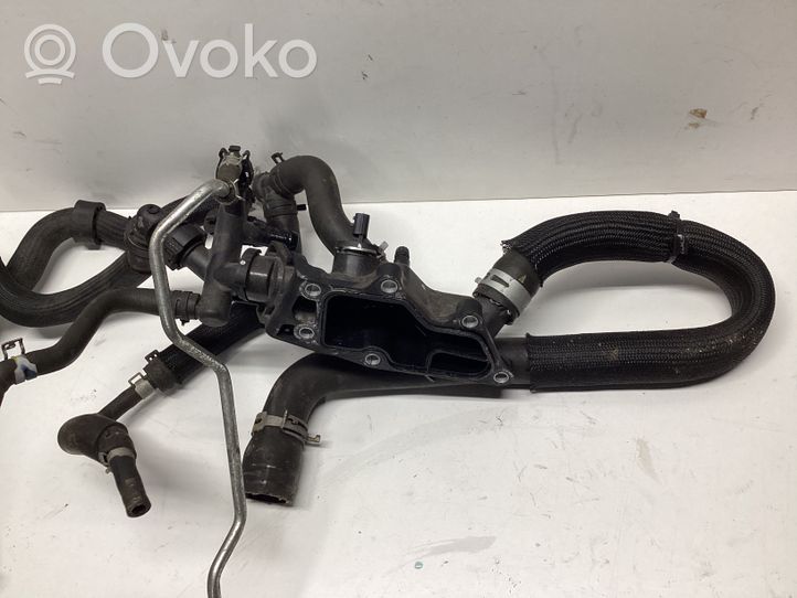 Nissan Qashqai Thermostat 110608635R