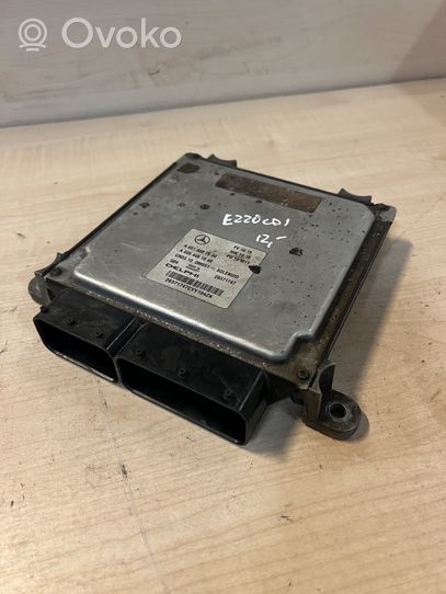 Mercedes-Benz E W212 Sterownik / Moduł ECU A6519007500