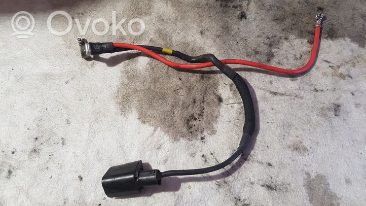 Volkswagen Eos Cable positivo (batería) 1K0971228AA