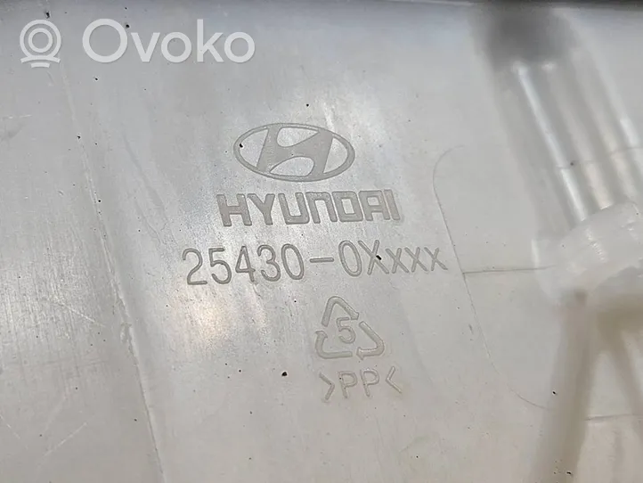 Hyundai i10 Zbiornik wyrównawczy chłodziwa 254300XXXX