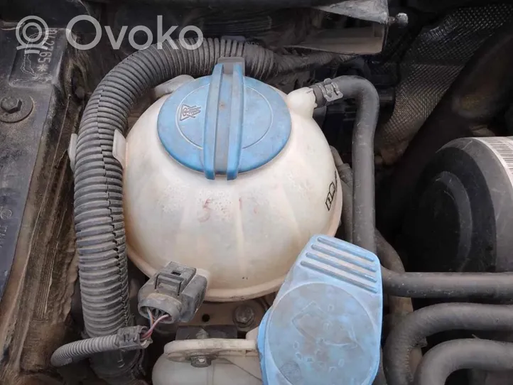 Volkswagen Golf V Fuel expansion tank 