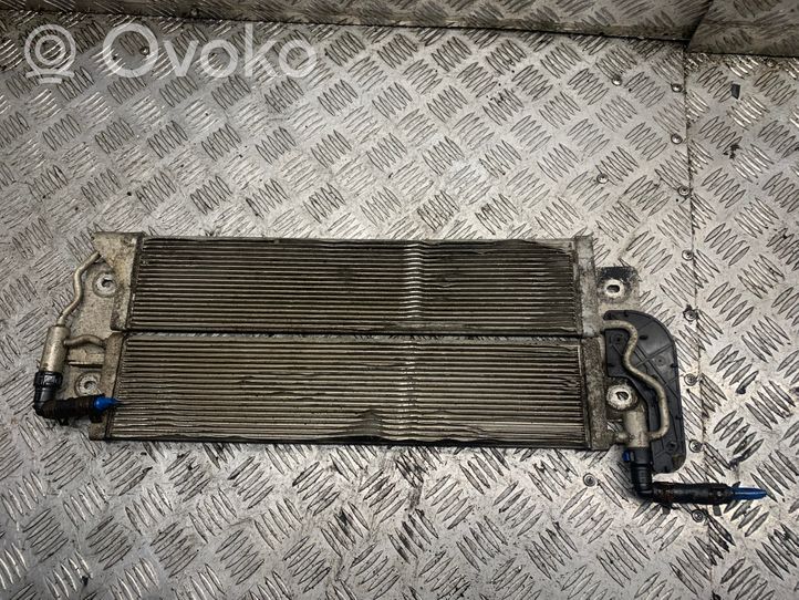 Volkswagen Phaeton Coolant radiator 3D0203551A