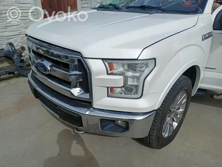 Ford F150 Priekinis pusašis 