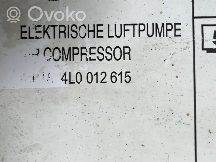 Volkswagen Touareg II Tire air pump compressor 4L0012615