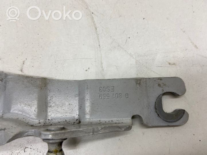 Mini Cooper Countryman R60 Cerniere del vano motore/cofano 9801569