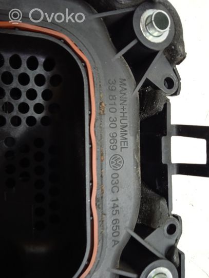 Volkswagen Golf V Risuonatore di aspirazione 3981030969