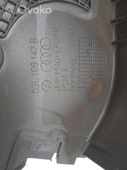 Seat Ibiza IV (6J,6P) Protezione cinghia di distribuzione (copertura) 03L109147