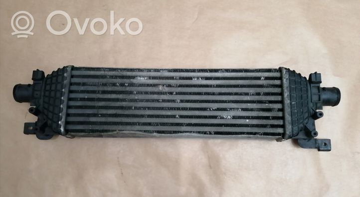 Ford Fusion Starpdzesētāja radiators 5S6H9L440AD