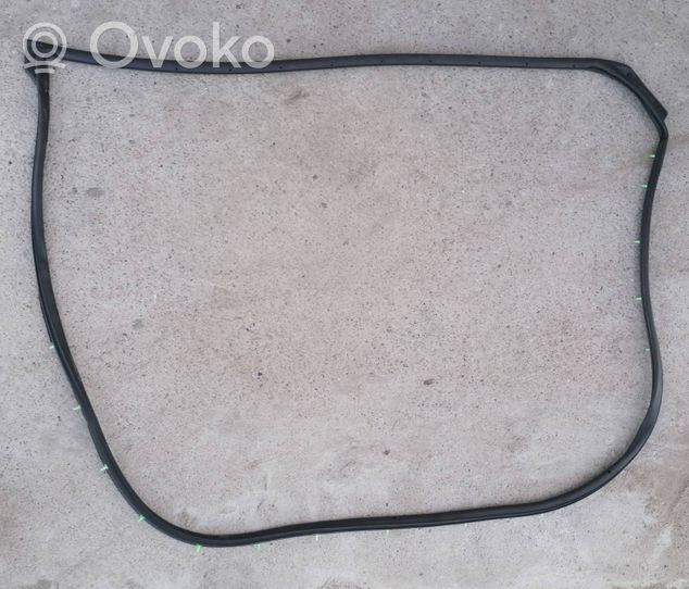 Toyota RAV 4 (XA40) Gumowa uszczelka drzwi przednich 67862-42090