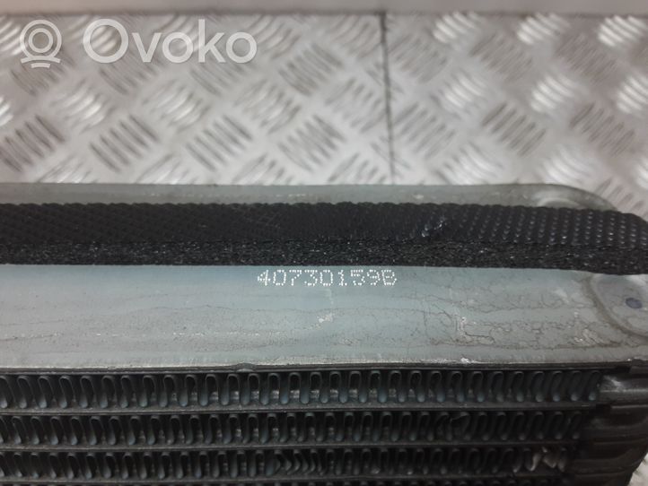 Volkswagen Touran I Air conditioning (A/C) radiator (interior) 40730159B