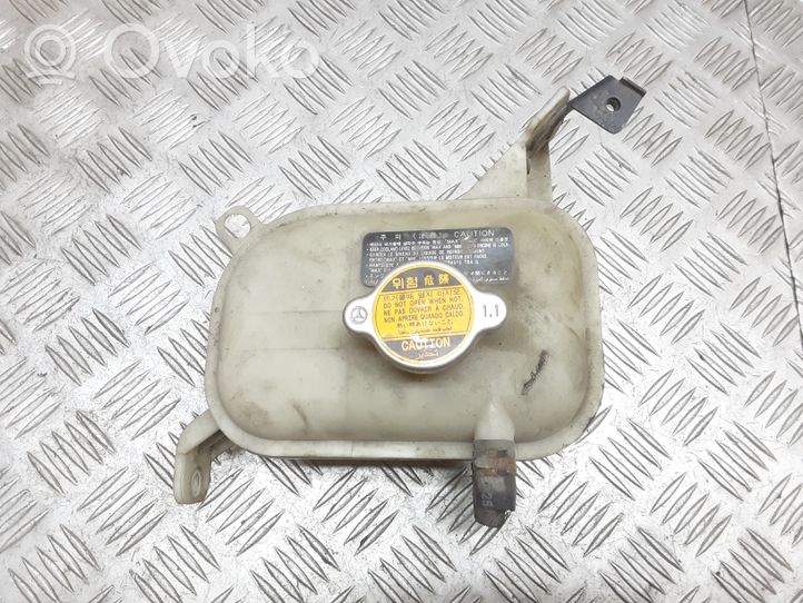 KIA Cerato Coolant expansion tank/reservoir 254292F410