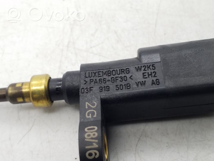 Volkswagen Jetta VI Sonde de température de liquide de refroidissement 03F919501B