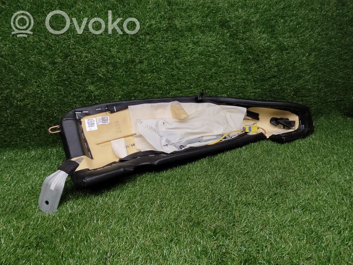 Volkswagen PASSAT CC Sėdynės oro pagalvė 3C0880441