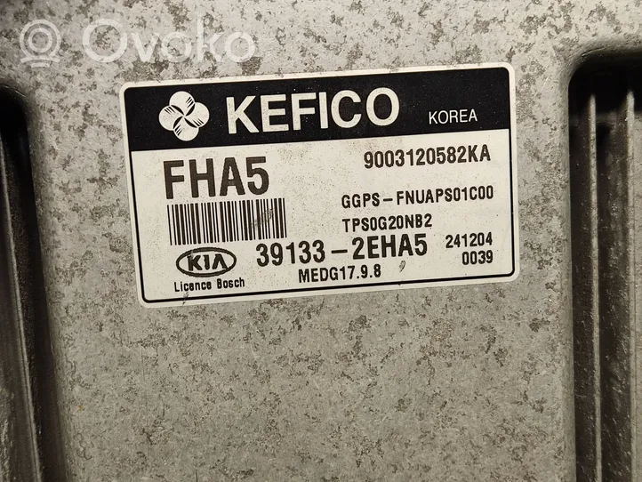 KIA Soul Engine control unit/module 391332EHA5