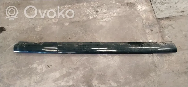 Jaguar S-Type Sill/side skirt trim 