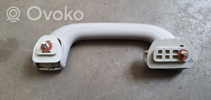 Hyundai i20 (PB PBT) Rear interior roof grab handle 