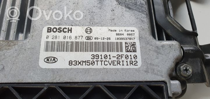 KIA Sorento Sterownik / Moduł ECU 