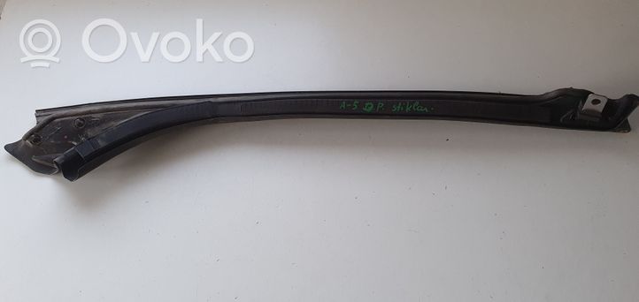 Audi A5 Rubber seal front coupe door window 