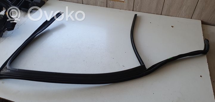 Skoda Rapid (NH) Rubber seal rear door window/glass 