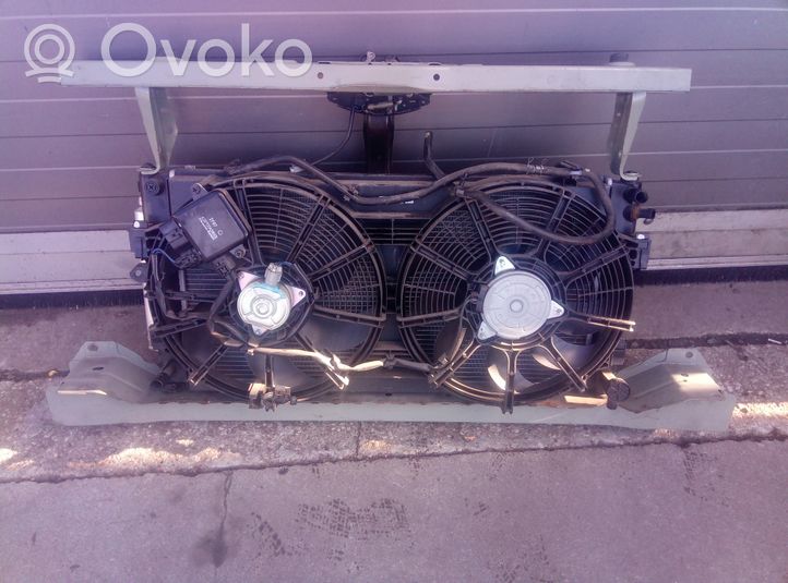 Nissan Leaf I (ZE0) Set del radiatore 
