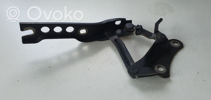 Skoda Superb B6 (3T) Engine bonnet/hood hinges 