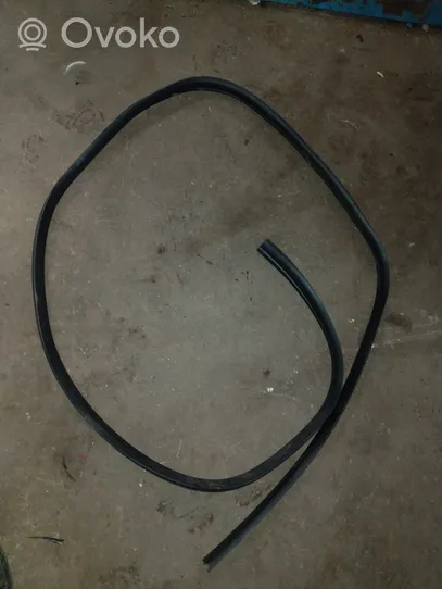 Ford C-MAX II Rear door rubber seal (on body) 