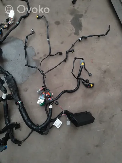 Nissan Micra K14 Other wiring loom 