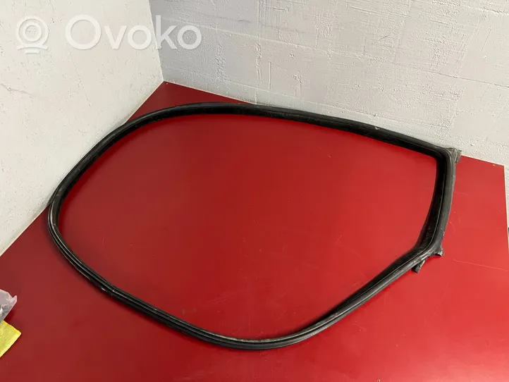 BMW 6 F06 Gran coupe Front door rubber seal 7275297